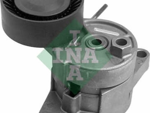 Ina intinzator curea transmisie pt bmw 3(e46), 5(e39)