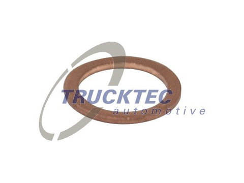 Inel de etansare (0167015 TRUCKTEC)