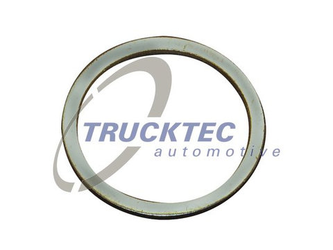 Inel de etansare (0267046 TRUCKTEC)