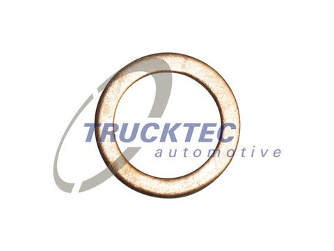 Inel de etansare (0267048 TRUCKTEC)