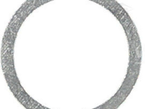 Inel de etansare (417103900 REI)