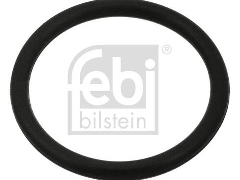 Inel de etansare FEBI BILSTEIN 100999