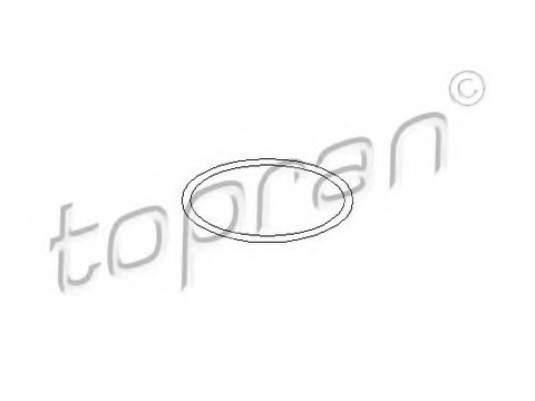 Inel etansare, capac radiator AUDI A6 Avant (4F5, C6) (2005 - 2011) TOPRAN 103 007