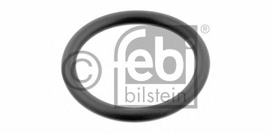 Inel etansare, furtun lichid racire AUDI A6 Avant (4F5, C6) (2005 - 2011) FEBI BILSTEIN 29752