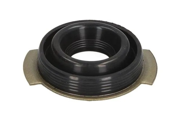Inel etansare, injector interior pentru FORD MONDEO III (B5Y) 2000-2007