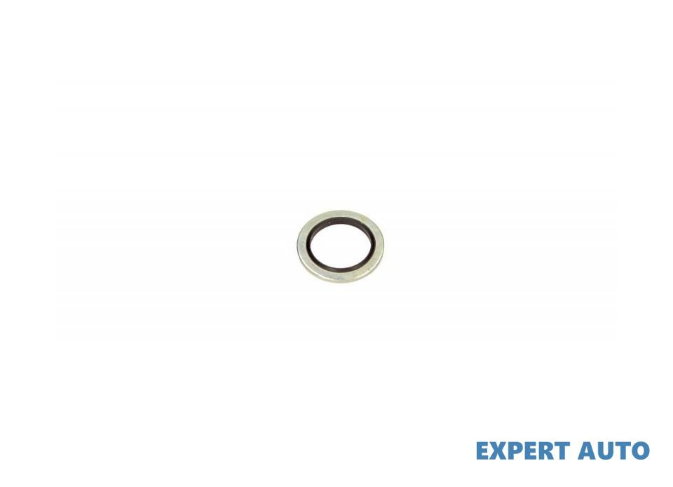 Inel etansare, surub drena ulei Renault GRAND SCENIC II (JM0/1_) 2004-2016 #8 00502300