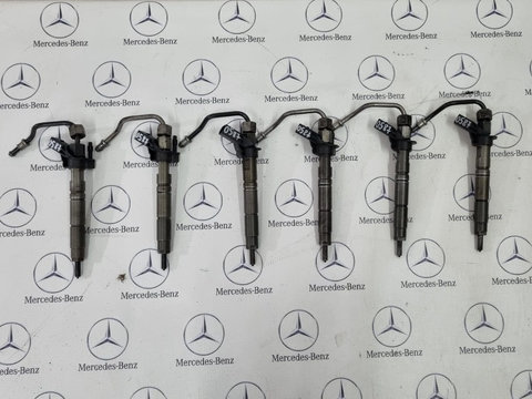 Injectoare Mercedes S class w221 A6420700587