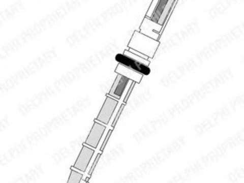 Injectoare, supapa expansiune AUDI 100 (44, 44Q, C3) (1982 - 1991) DELPHI TSP0695190