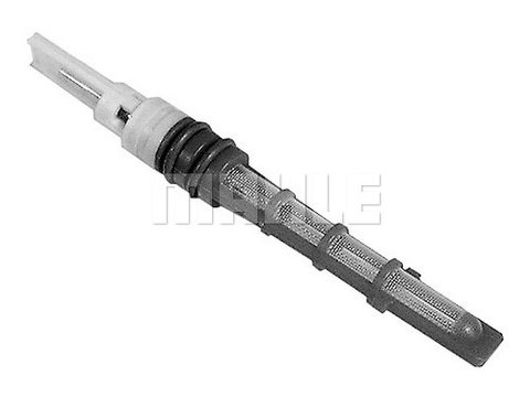 Injectoare, supapa expansiune (AVE46000S BEH MAH) FORD