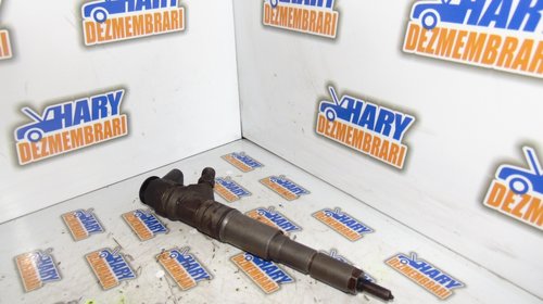 Injector 0445110269 CHEVROLET CAPTIVA P 