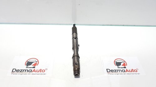Injector, Audi A4 Avant (8ED, B7) 2.5 td