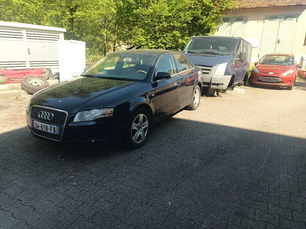 Injector Audi A4 B7 2007 Berlina 2.5 tdi