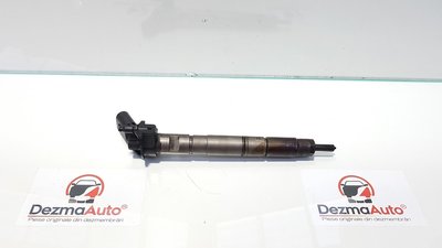 Injector, Audi A6 Allroad (4FH, C6) 3.0 tdi, 05913