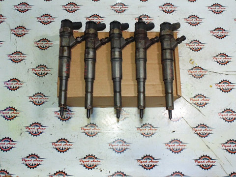 Injector bmw 2.0 d 3.0 d 0445110216