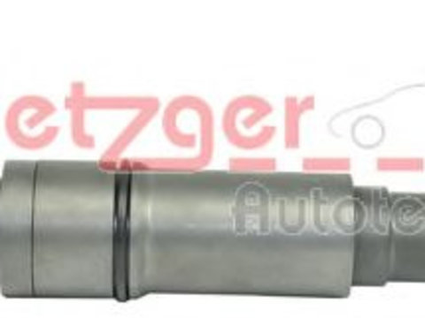 Injector BMW 3 Compact (E46) (2001 - 2005) METZGER 0870035