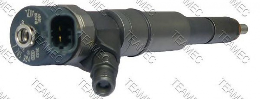 Injector, BMW 3 Touring (E46) an 1999-2005, producator TEAMEC 810042 PieseDeTop