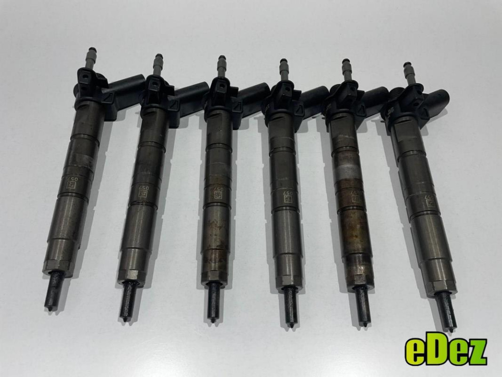 Injector BMW X5 (2007-2013) [E70] 2.0 3.0 d euro 5 0445117030