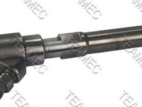 Injector, CHEVROLET NUBIRA limuzina an 2005 - prezent , producator TEAMEC 810173