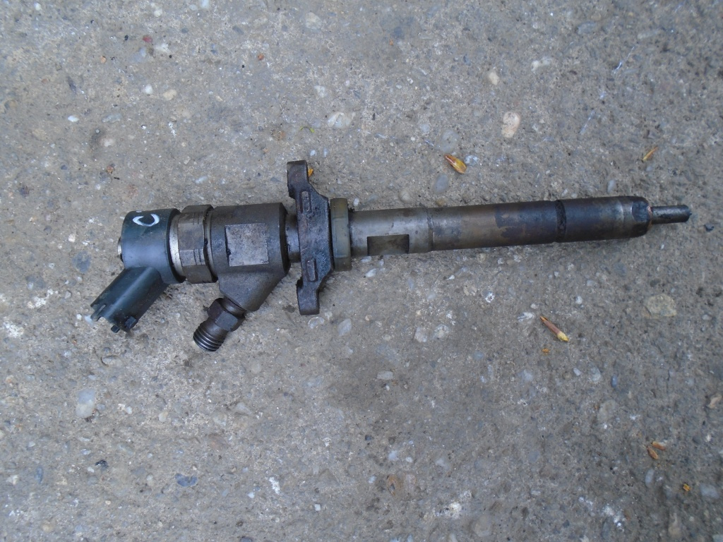 Injector citroen c3 1.6 cod 0445110259