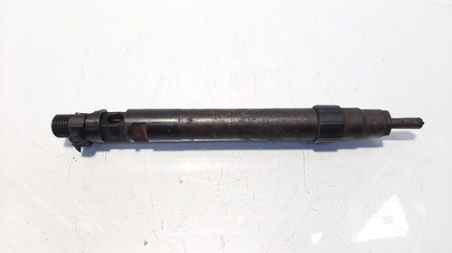 Injector, cod 9686191080, EMBR00101D, Fo