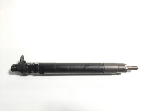 Injector, cod 9686191080, EMBR00101D, Ford Galaxy 2, 2.0 tdci, UFWA (id:434003)