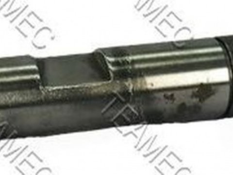 Injector, DACIA LOGAN (LS_) an 2005 - prezent , producator TEAMEC 812029