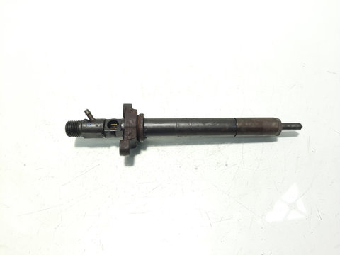 Injector Delphi, cod 9656389980, EJBR03801D, Peugeot 407 SW, 2.0 HDI, RHR (id:595689)