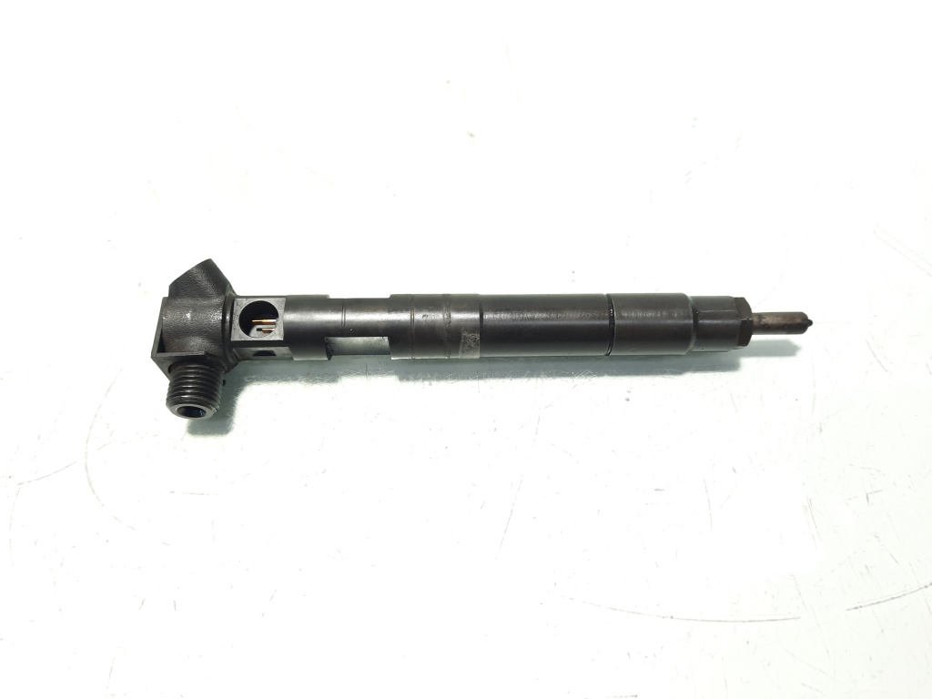 Injector Delphi, cod A6510704987, Mercedes Clasa E (W212) 2.2 CDI, OM651924 (id:568245)