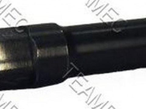 Injector, FORD MONDEO III combi (BWY) an 2000-2007, producator TEAMEC 812012