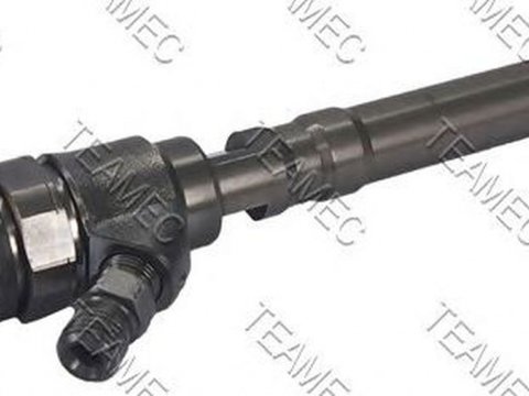 Injector, HYUNDAI ACCENT II limuzina (LC) an 2002-2005, producator TEAMEC 810167