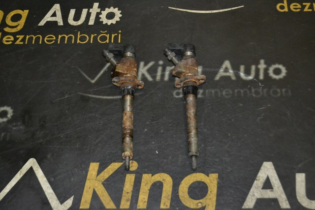 INJECTOR / INJECTOARE PEUGEOT 407 2.0 HDI 136 CP