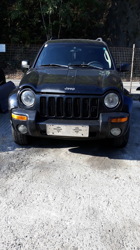 Injector Jeep Cherokee 2004 Jeep 2.7