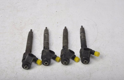 Injector Mercedes A170 CDI 0445110070