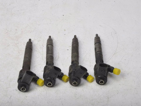 Injector Mercedes A170 CDI 0445110070