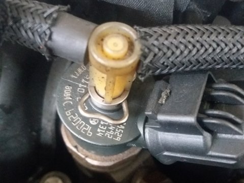 Injector Peugeot 206 1.6 HDI