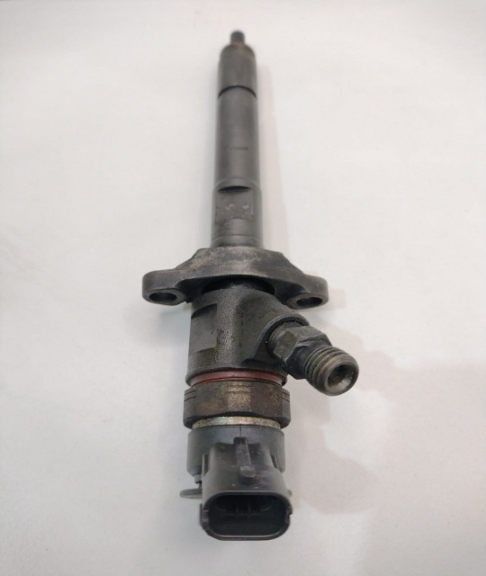 Injector Peugeot Citroen 0445110297 Peug