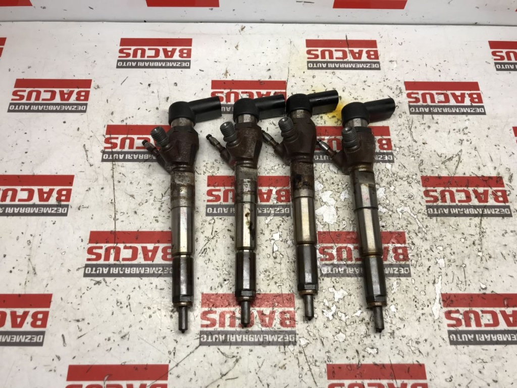 Injector Renault Kadjar / Mercedes A W169 / B W246 Dacia Sandero 2 1.5 DCI Cod : 166006212R