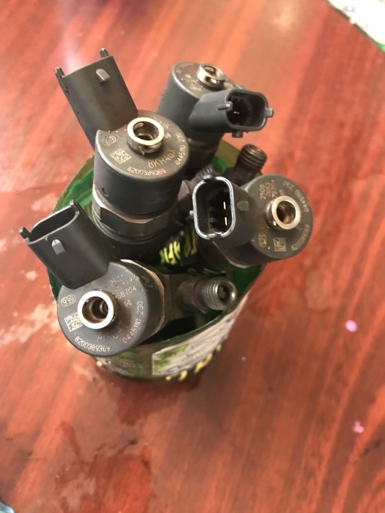 Injector Renault Megane II 1.9 dci 0445110230