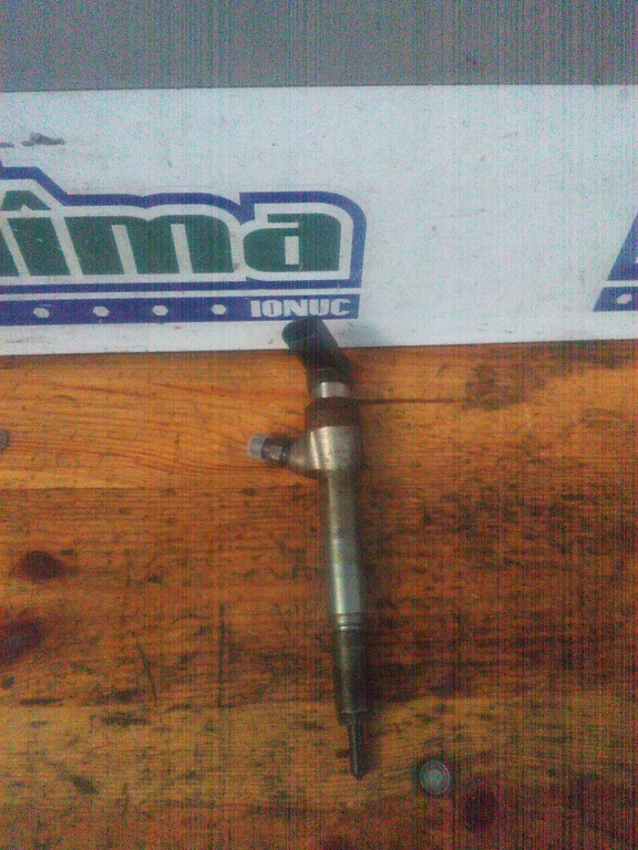Injector RENAULT Megane II 2002-2009 1.5 DCI