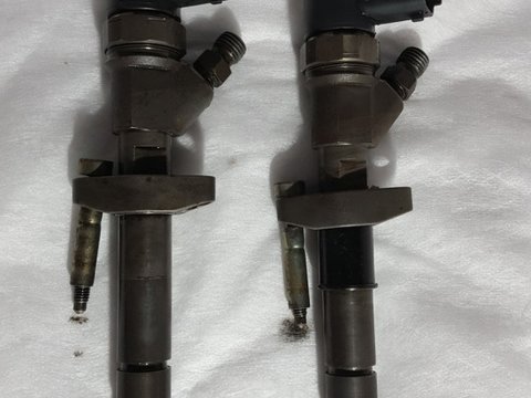 Injector Renault Vel Satis 2.2 DCI COD: 0445110084
