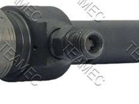 Injector, SAAB 9-3 (YS3F) an 2004 - prezent , producator TEAMEC 810123