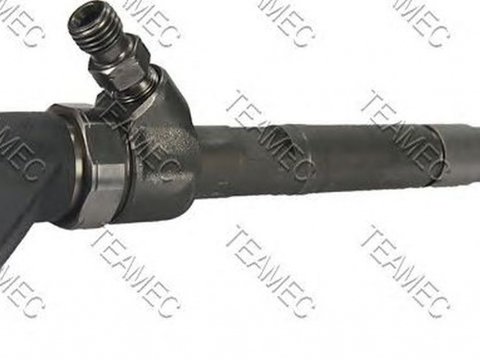 Injector, SMART CABRIO (450) an 2001-2004, producator TEAMEC 810028