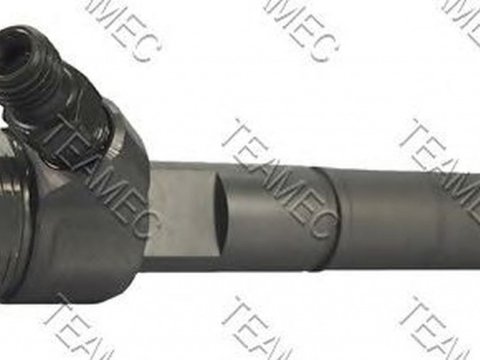 Injector, SMART FORFOUR (454) an 2004-2006, producator TEAMEC 810138