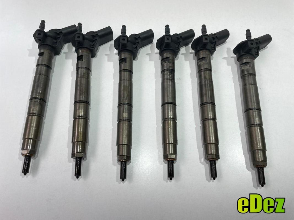 Injector Volkswagen Touareg (2002-2006) 3.0 tdi 05