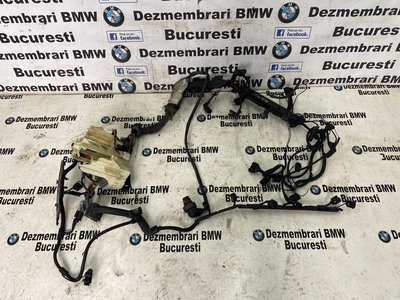 Instalatie electrica motor BMW E90,E91 325d,330d,3