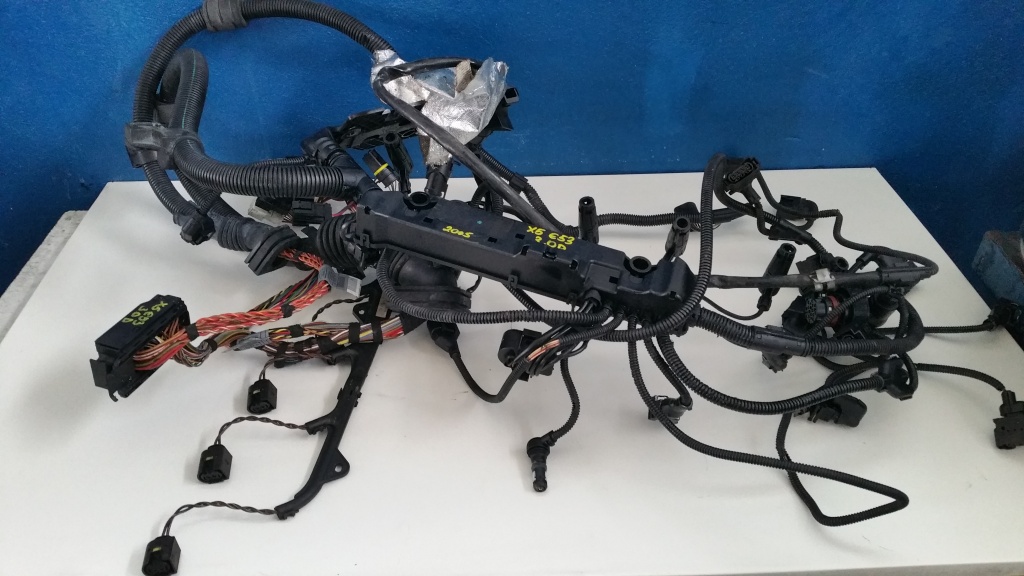 Instalatie electrica motor BMW X5 E53 3.0 d 2005