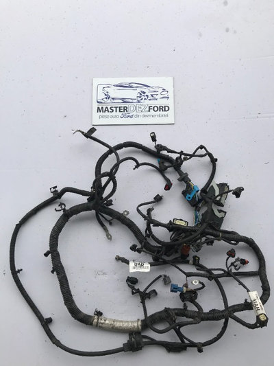 Instalatie electrica motor Ford 1.0 Ecoboost