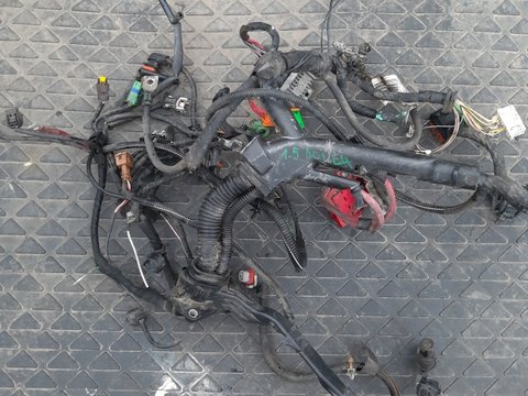 Turkey ventilation stomach ache Instalatie electrica renault clio 1.5 dci - Anunturi cu piese Turkey ventilation stomach ache Instalatie electrica renault clio 1.5 dci - Anunturi cu piese
