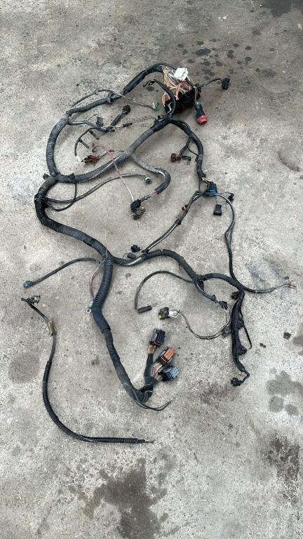 Instalatie electrica motor Renault Scenic 1 1.9 DCI 75KW F9Q-K7 2003