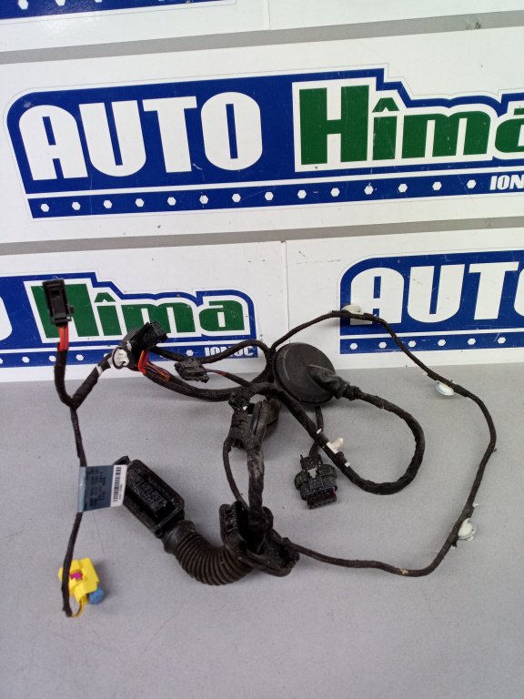 Instalatie electrica usa dreapta fata 8K0971030AP Audi A4 B8 2008-2016